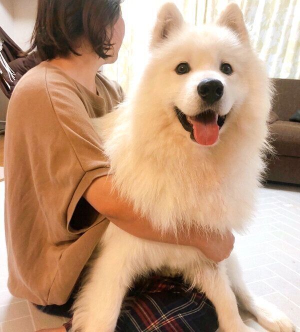 甘えん坊なサニーちゃん