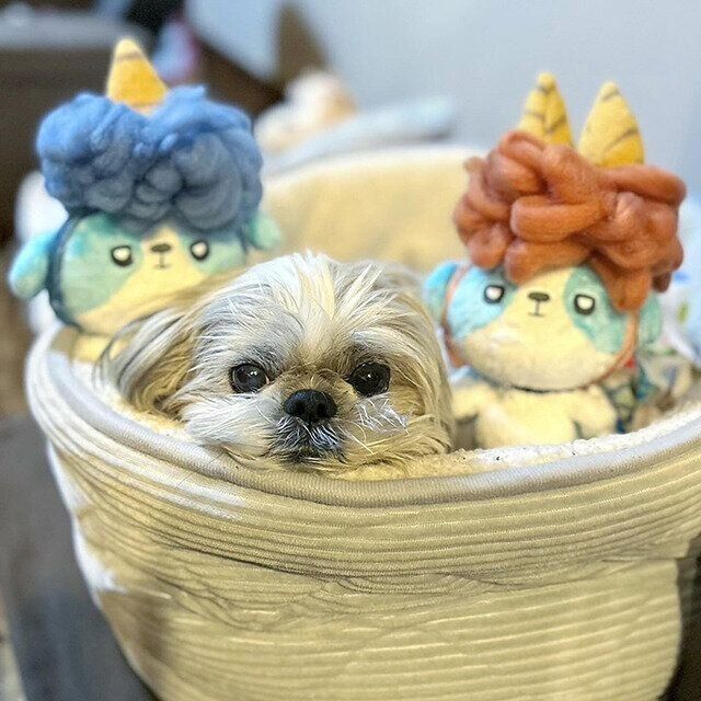 シーズー犬マンガてんぽshihtzu