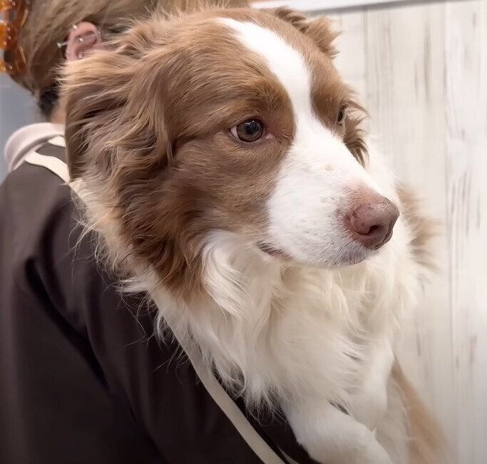 抱っこされるリーリエちゃん