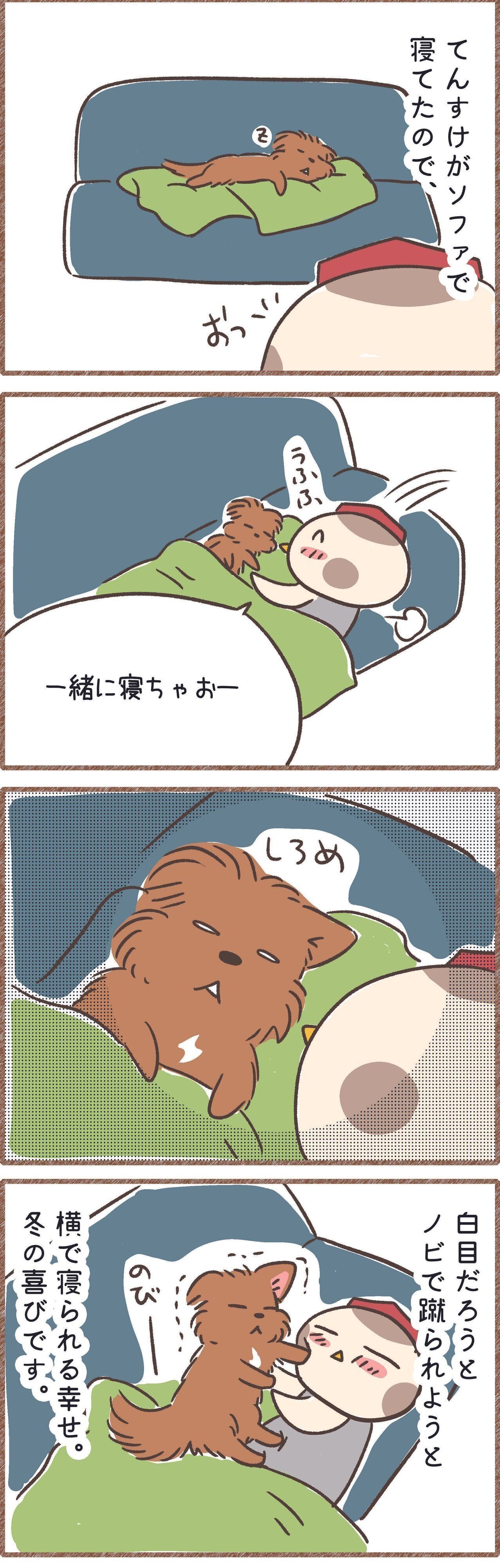 冬は犬にくっついて寝られて幸せ漫画