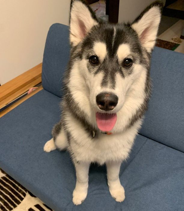 笑顔が可愛いリュックちゃん