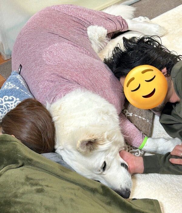 飼い主さんたちの間に割り込むモフちゃん