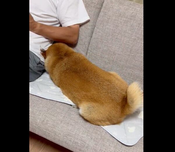 いじけるあさむらさん