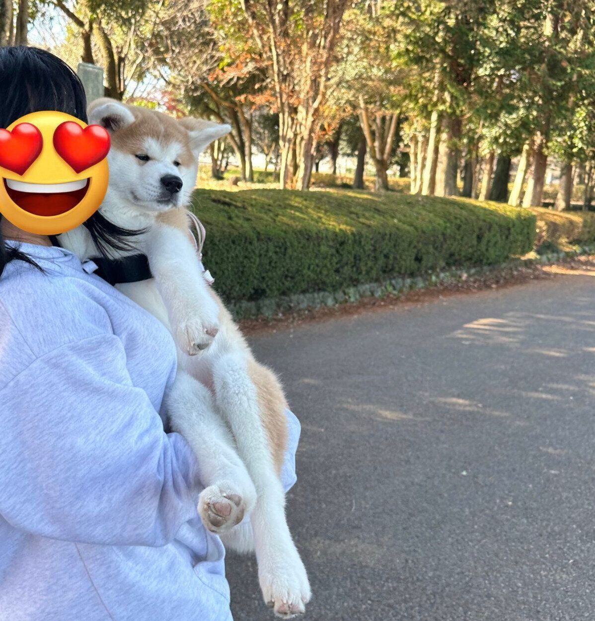 抱っこしてもらうりんちゃん