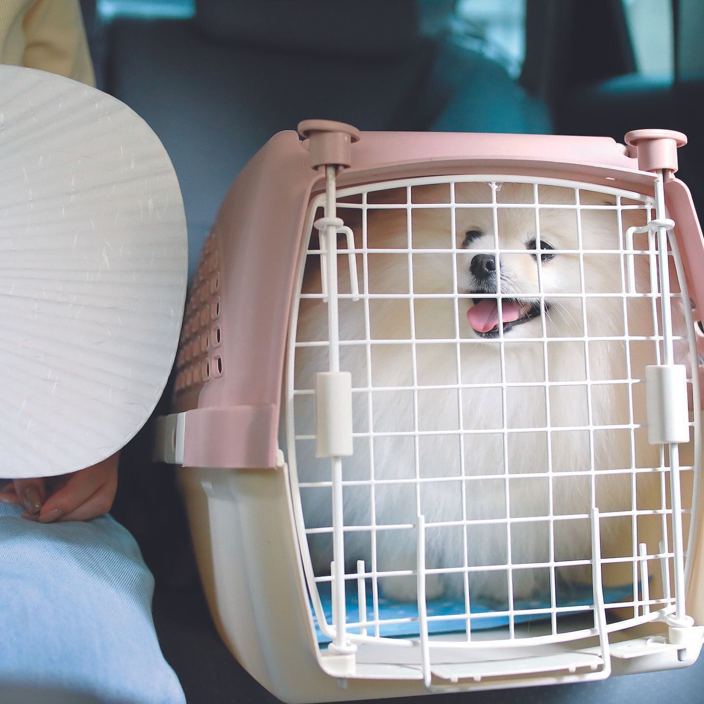 サイドの隙間からも風を送って