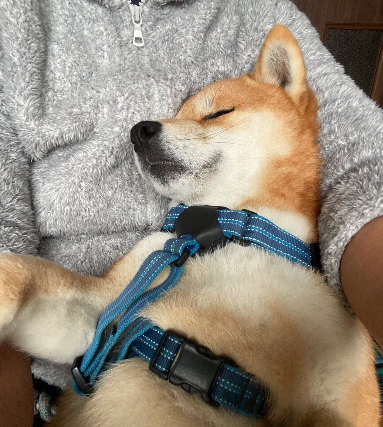 されるがままの福ちゃん