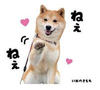 ももちゃんのスタンプ