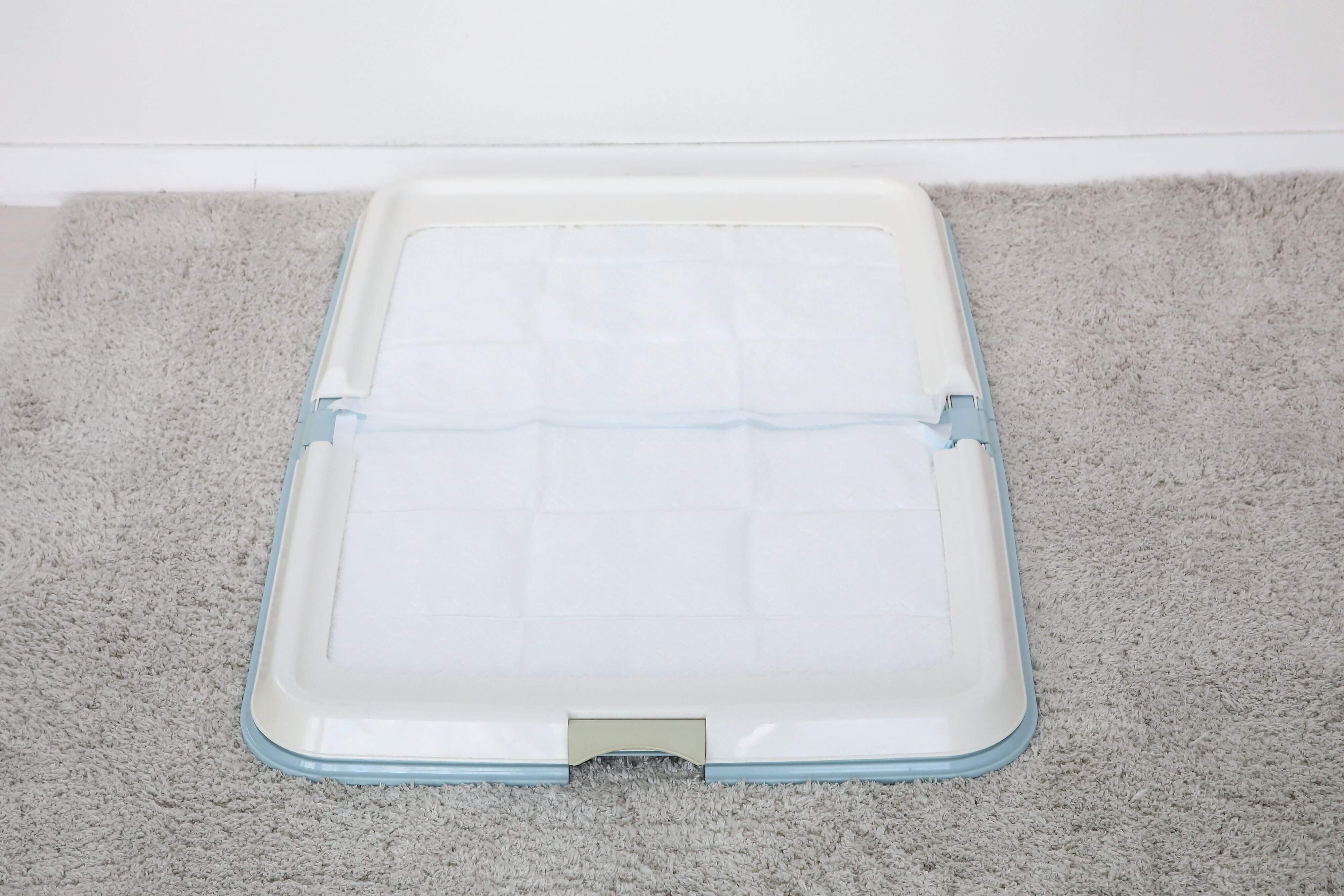 撮影／尾﨑たまき