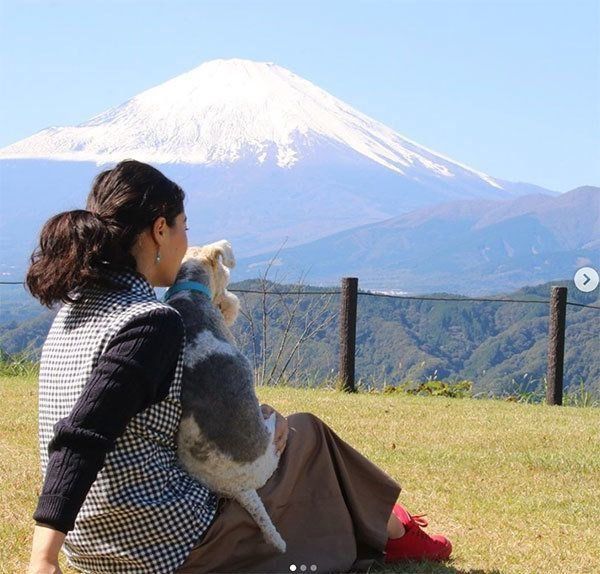 元保護犬・こっぺぱんちゃん