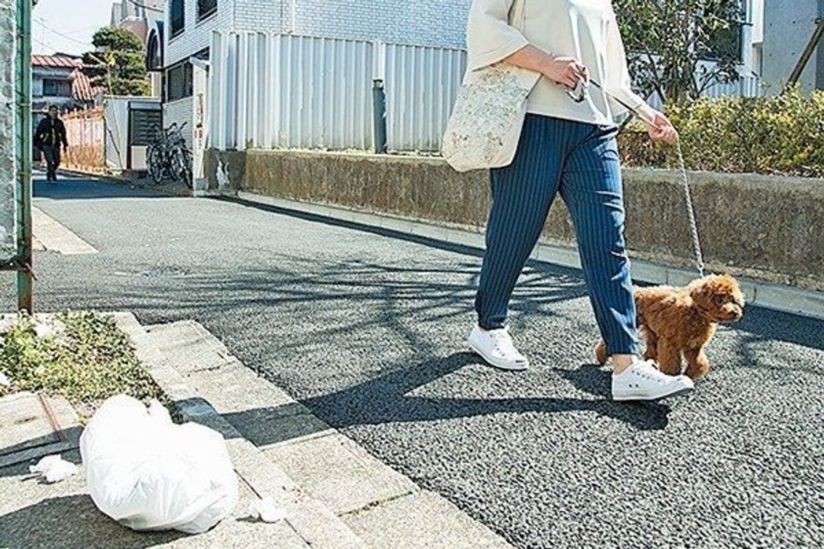 愛犬のイタズラ 拾い食いをどう防ぐ 対策のコツを伝授 いぬのきもちweb Magazine 愛犬のイタズラ 拾い食いをどう防ぐ 対策のコツを伝授 いぬのきもちweb Magazine