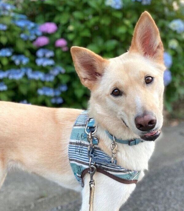 笑顔のくるりちゃん