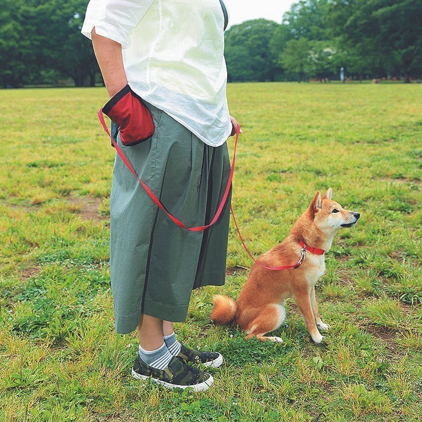 撮影／尾﨑たまき