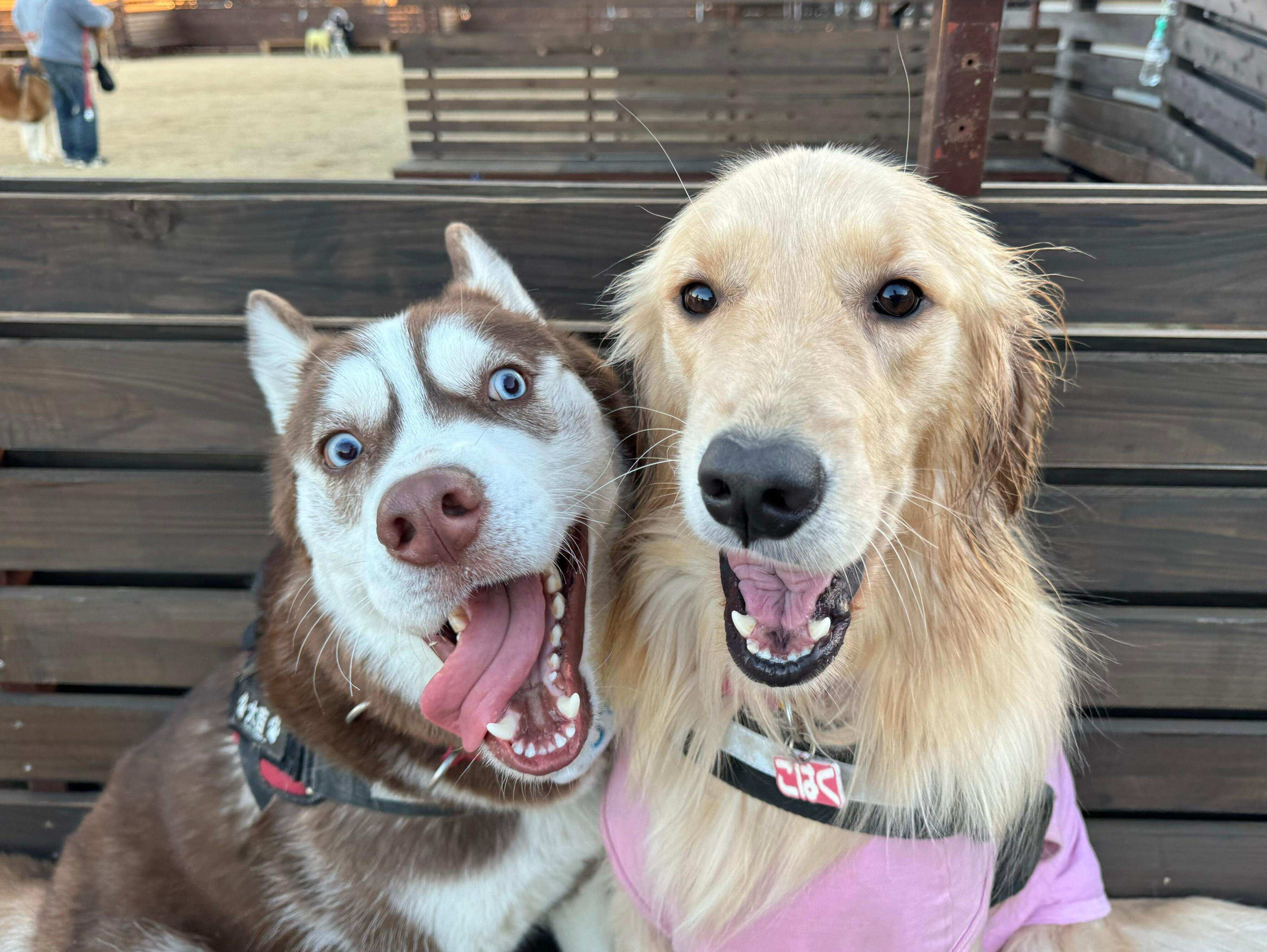 楽しそうな大吉くんたち