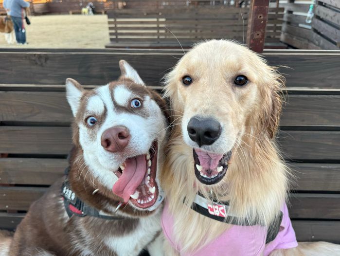 楽しそうな大吉くんたち