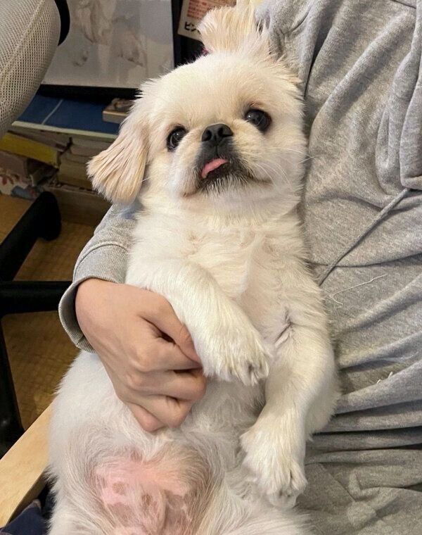 甘えるムーチョくん