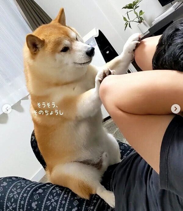 腹筋トレーニングのお手伝いをする福来くん