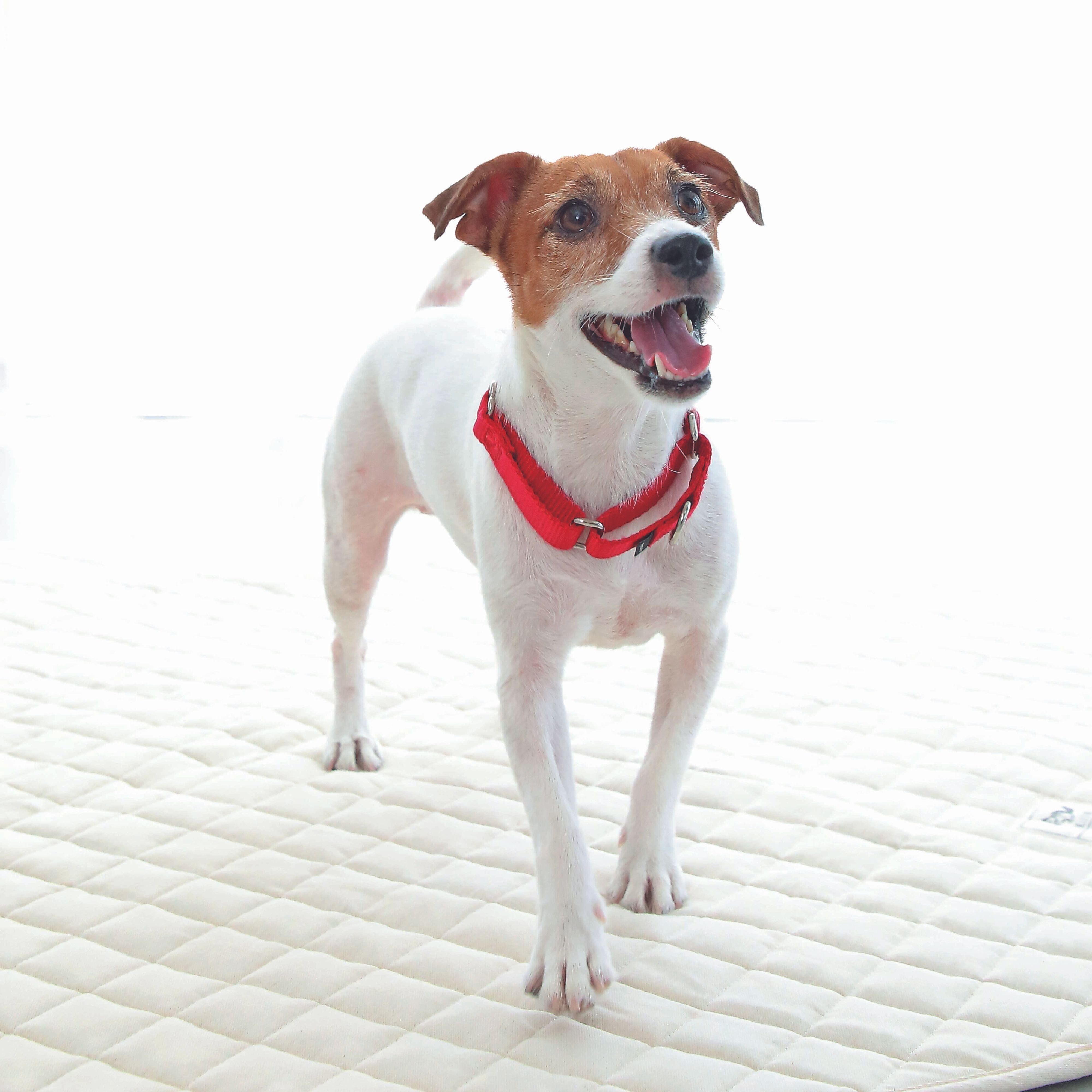 撮影／尾﨑たまき