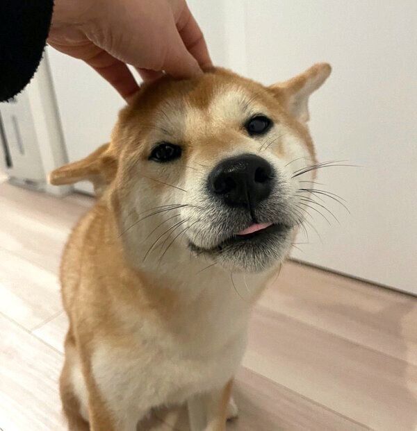 ヒコーキ耳をする唯ちゃん