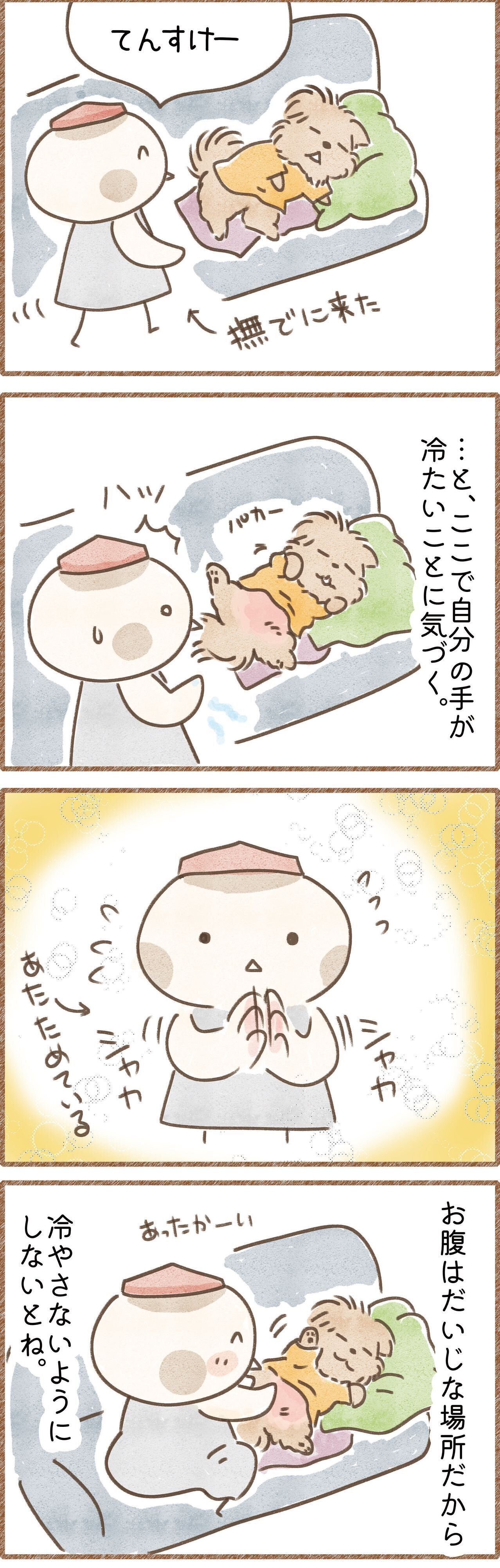 犬に冷たい手で触るのはためらうという漫画