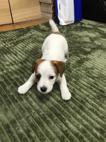 怒られてシュンとするそらまめちゃん