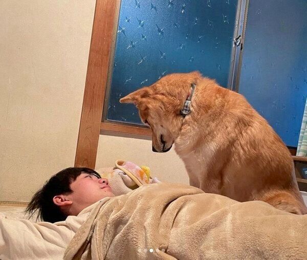 次男くんに「遊ぼ」と圧をかける福くん