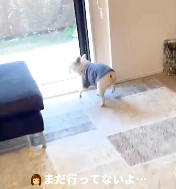 日向ぼっこしたいやまわきちゃん