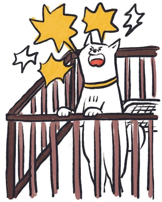 イラスト／SORRY.