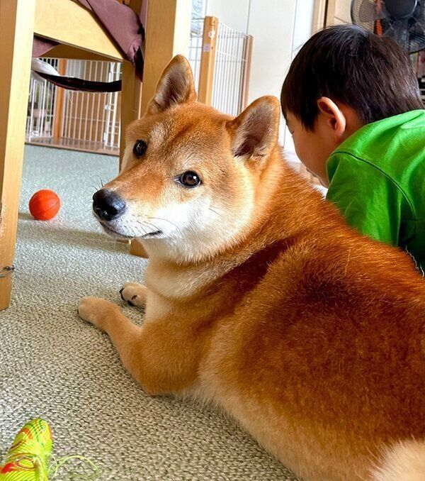 見つめるむぎまるくん