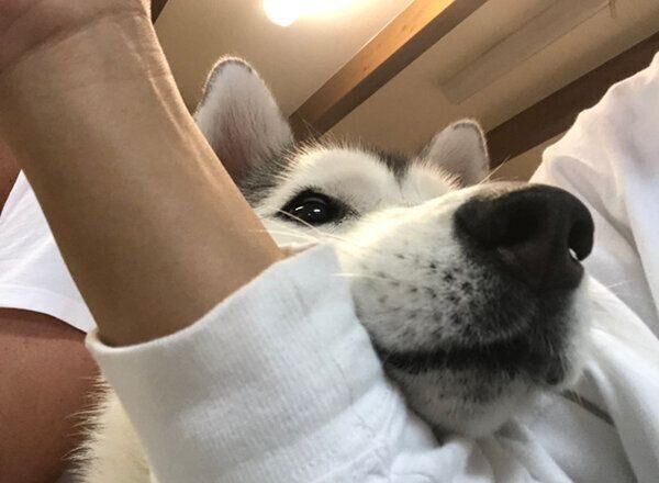 おねだりするぷくちゃん
