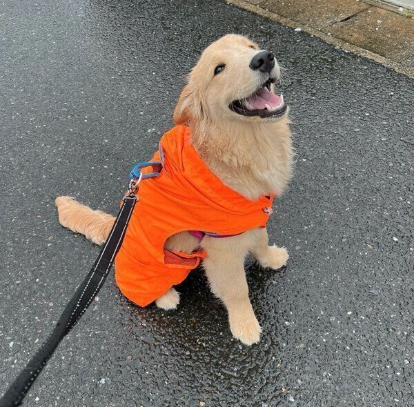 お散歩をするそらくん