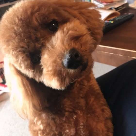 首をかしげすぎだよ（笑）