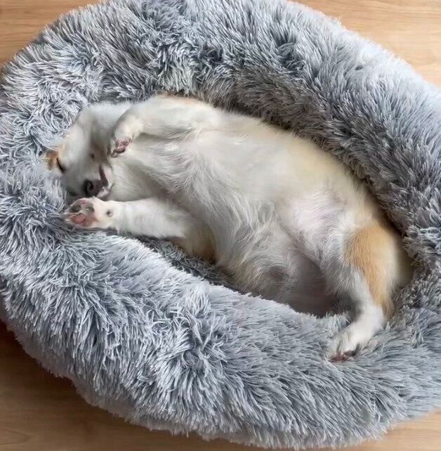 気持ちよさそうに眠るつむぎちゃん