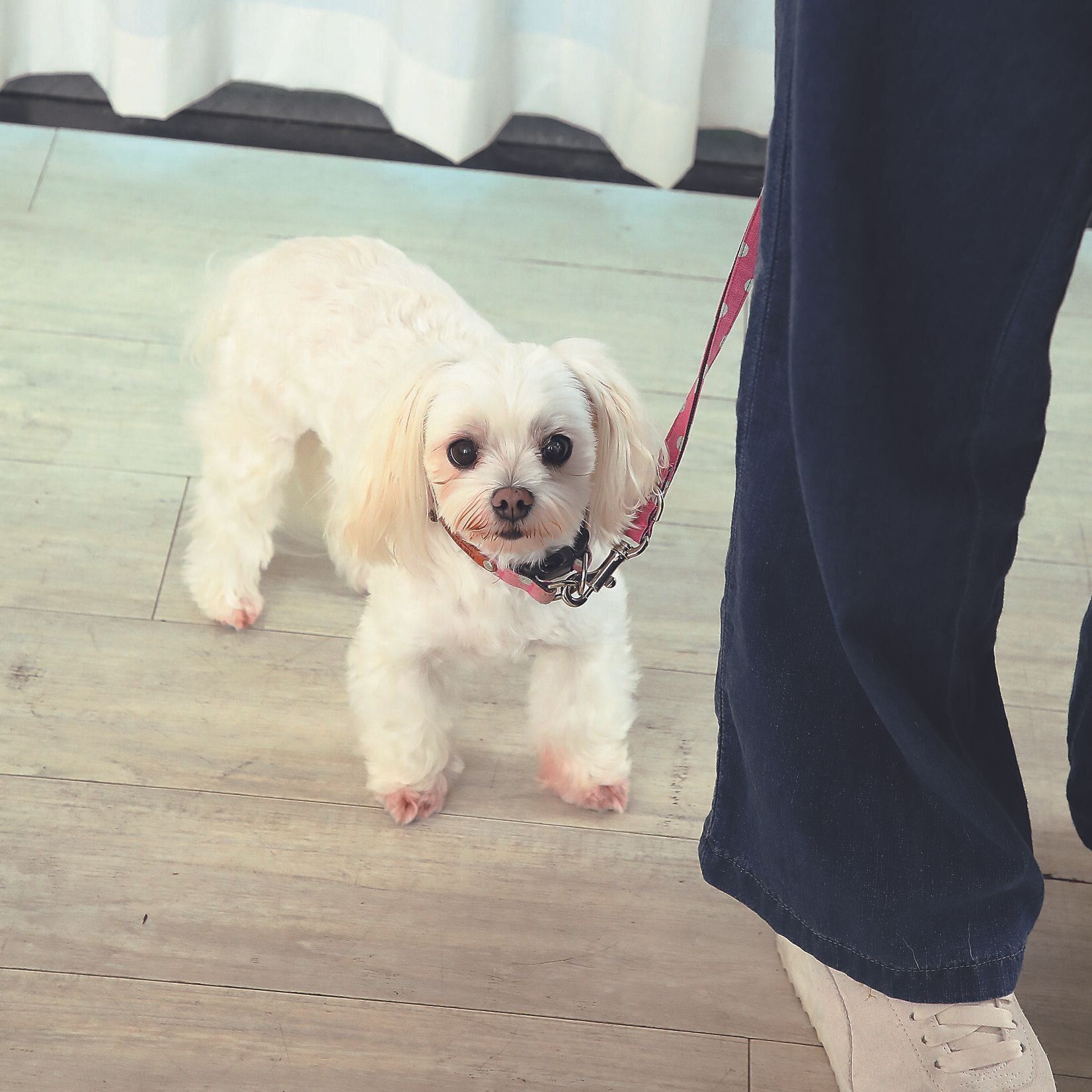 撮影／尾﨑たまき