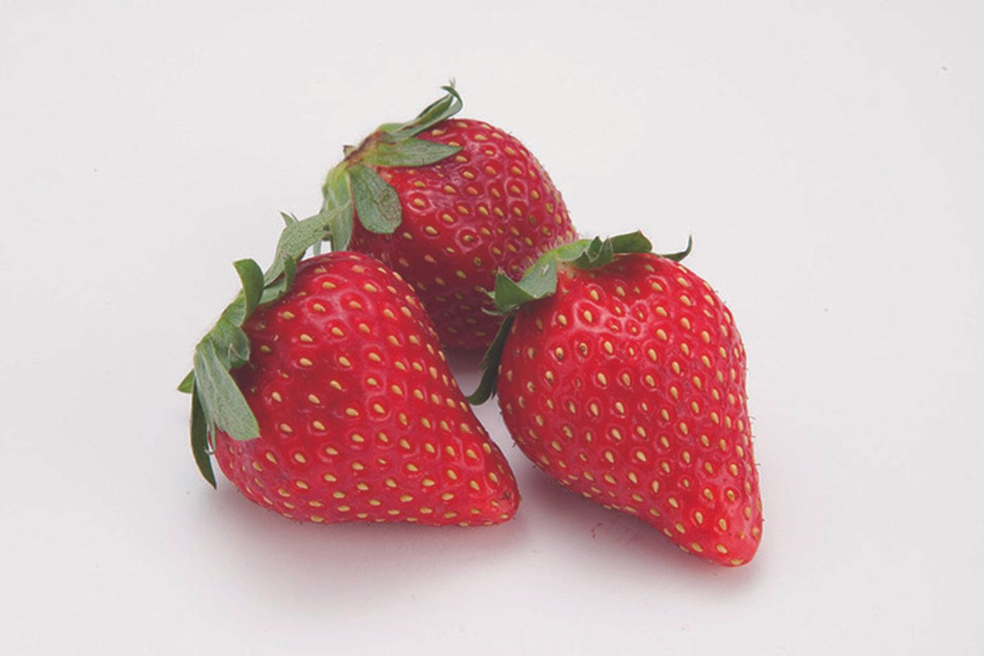 この果物 犬に与えてok Ng 犬が食べてもいい 食べてはいけない果物 いぬのきもちweb Magazine この果物 犬に与えてok Ng 犬が食べてもいい 食べてはいけない果物 いぬのきもちweb Magazine