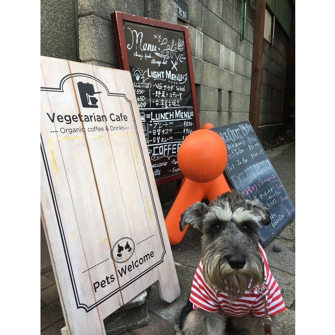 CafeVGの看板とレオンくん