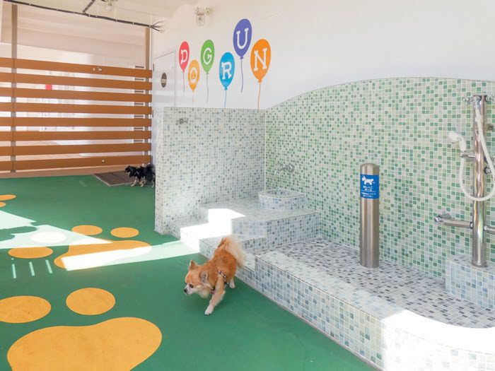 フェリーさんふらわあ提供