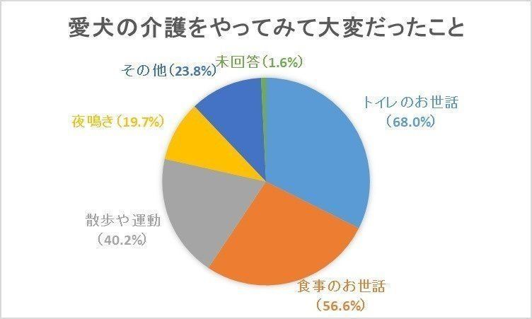 愛犬の介護をやってみて大変だったこと