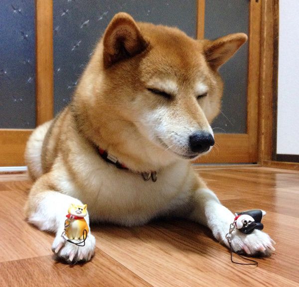 拒否犬ストラップ