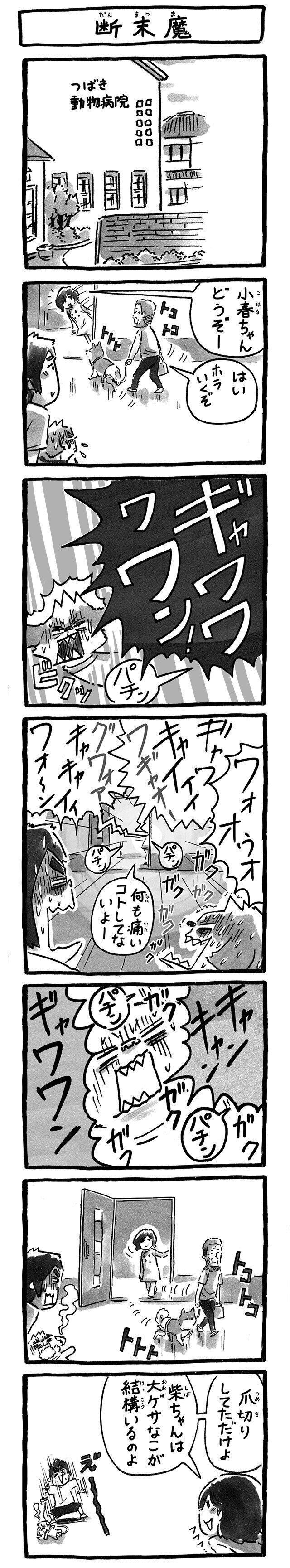 シーズー犬マンガてんぽshihtzu