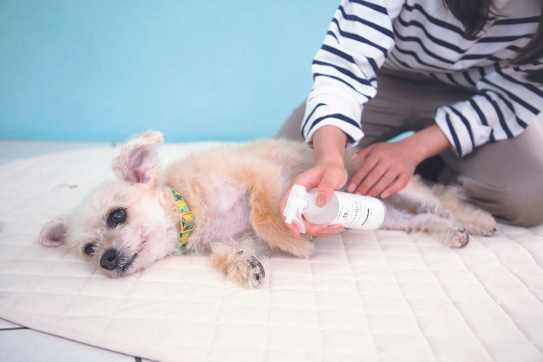 撮影／尾﨑たまき