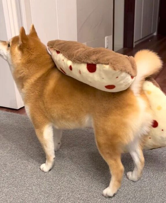 「おやつ」と聞いて、焦って出てきた文太くん