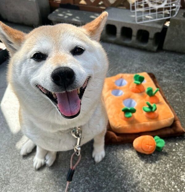 笑顔が可愛いゆめちゃん