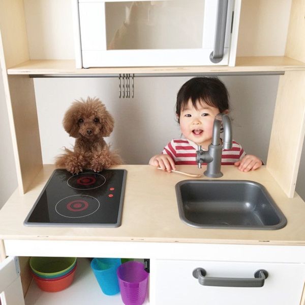 おままごとをする犬