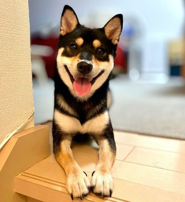 笑顔の心陽ちゃん