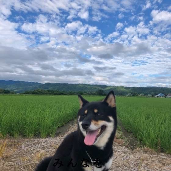 ペットロス体験談