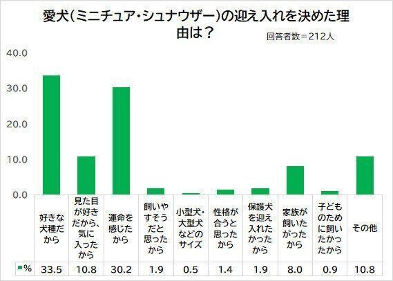 愛犬を迎え入れた理由は?