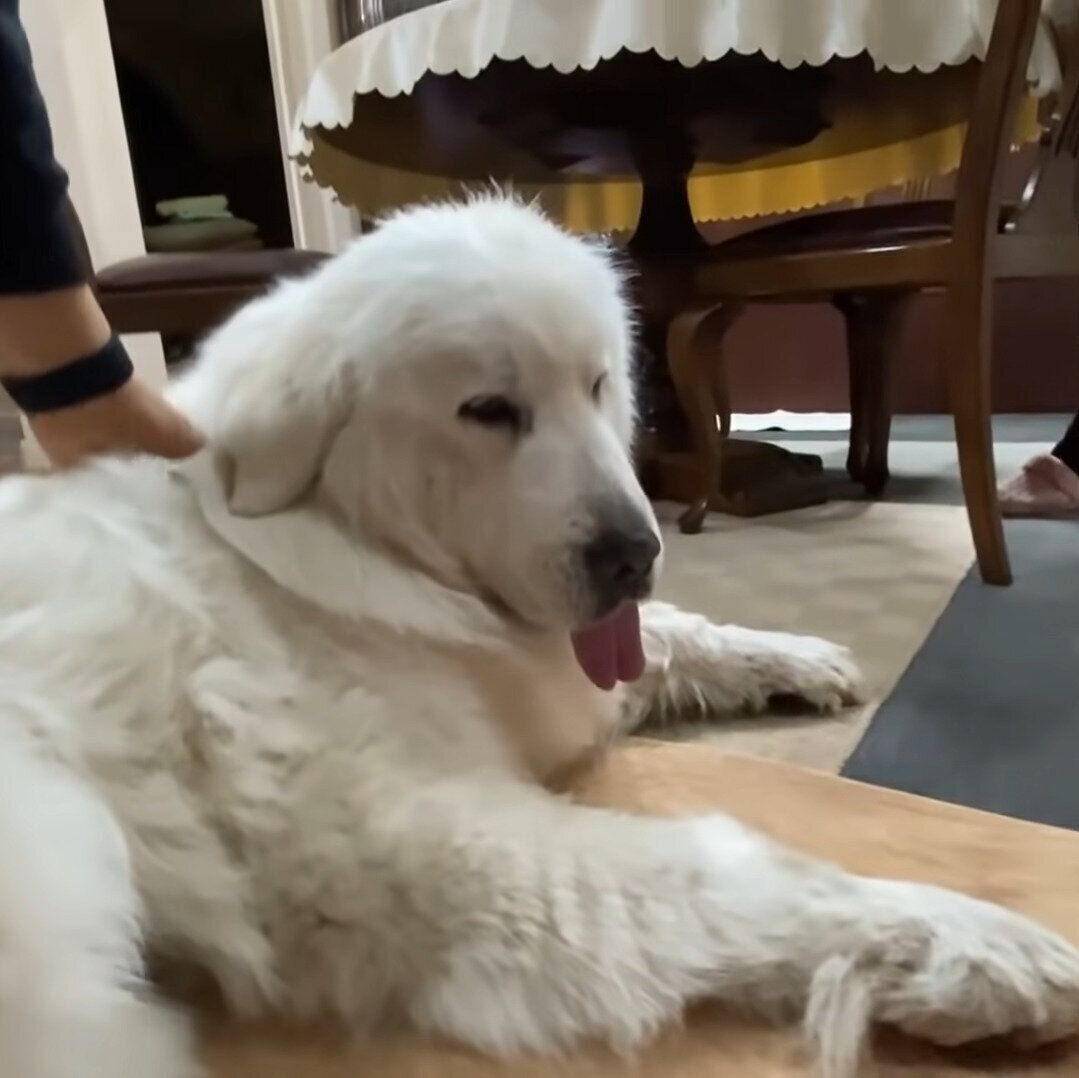 くつろぐルンルンちゃん