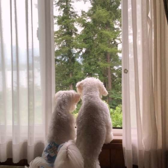 ひそひそ話をする まるちゃん