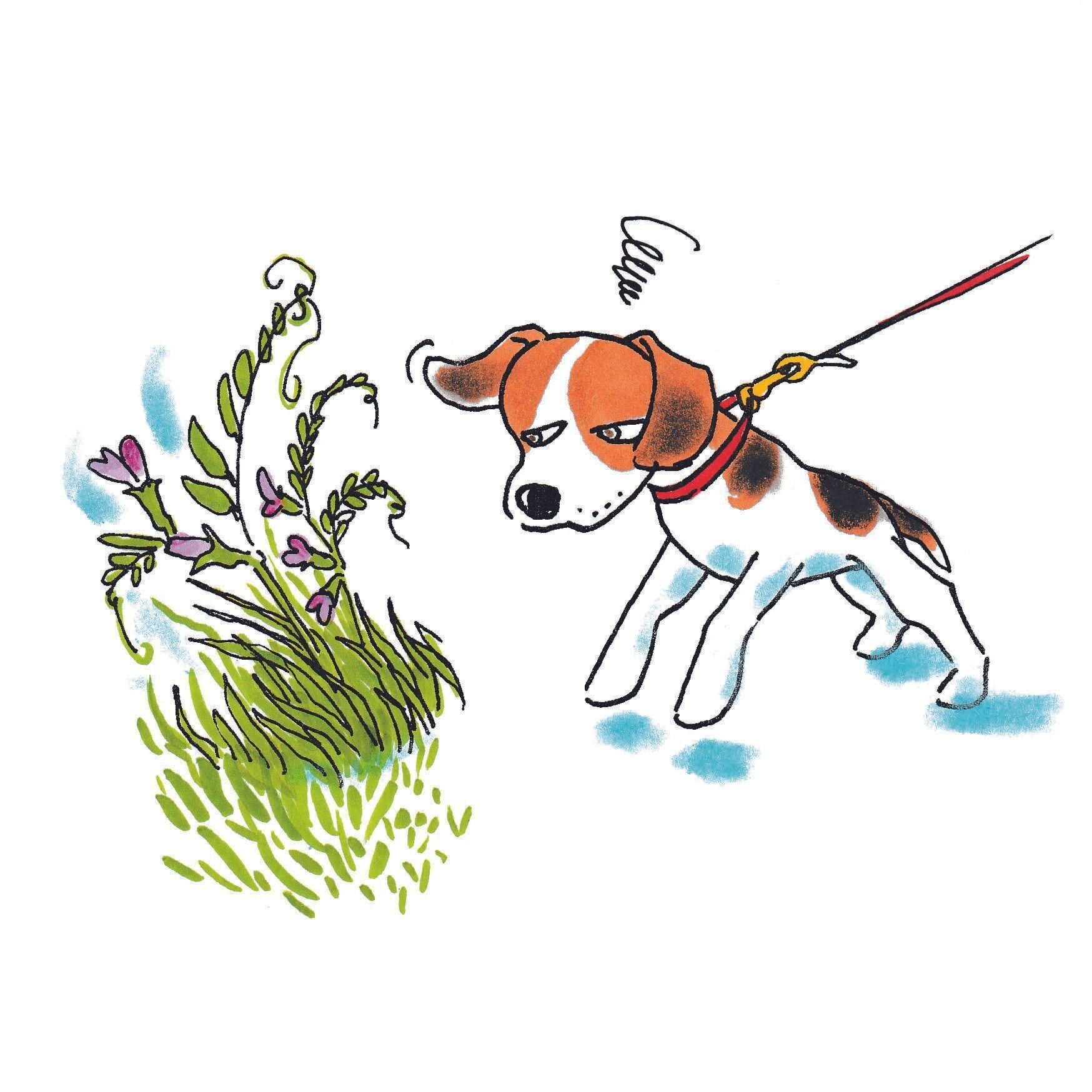 イラスト／小栗麗加