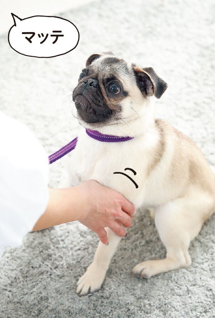 撮影／尾﨑たまき